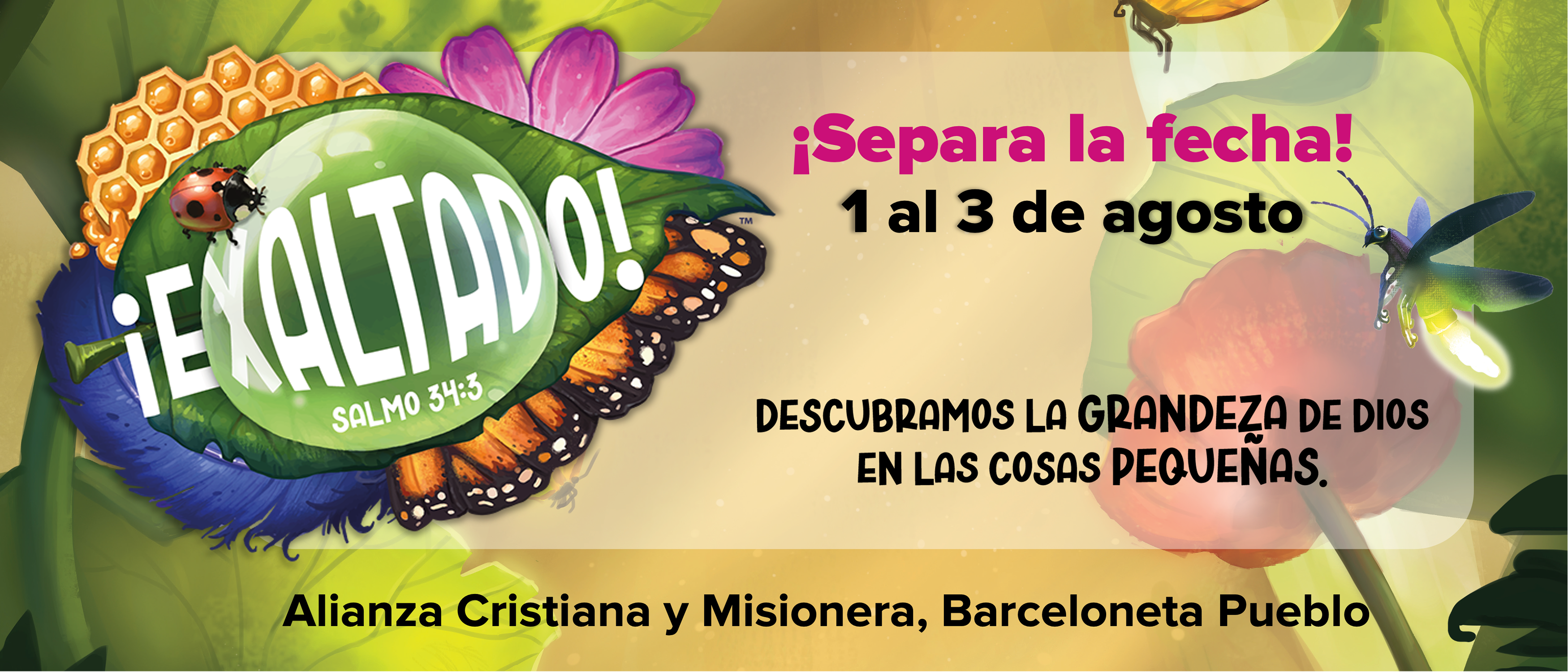 Exaltado Camp Flyer